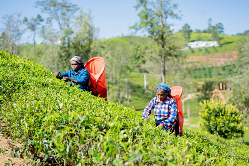  Protecting biodiversity for people and the planet